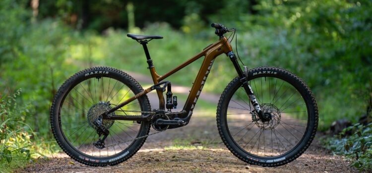 Marin Rift Zone EL im Test: Leichtes E-Trailbike mit Lust auf Airtime